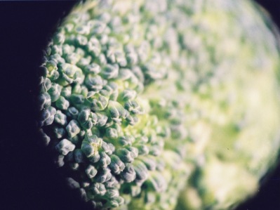 Broccoli Moon